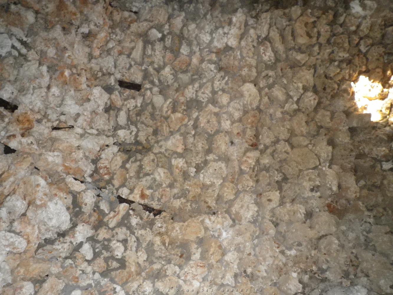 1857 toujours interieur de la grotte.JPG